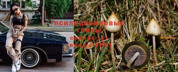 скорость Володарск