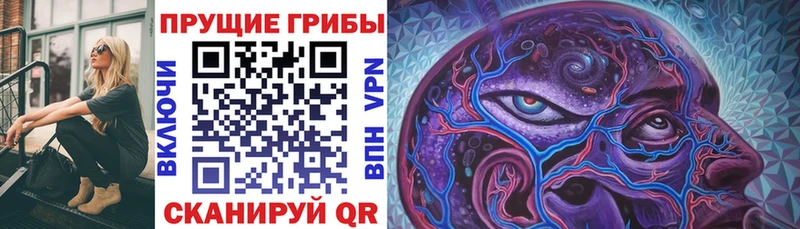 Купить где  Тырныауз  Галлюциногенные грибы Cubensis 