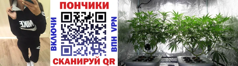 Марихуана Amnesia  Купить закладки  Тырныауз 